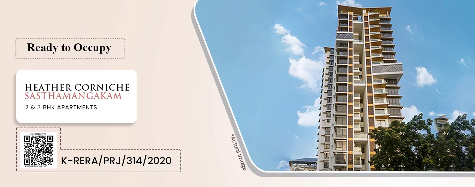 Website Banner (CORNICHE)