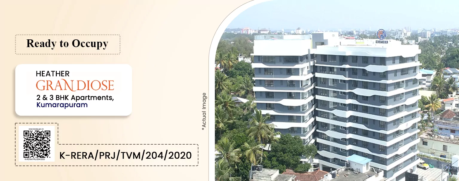 Website Banner (GRANDIOSE)